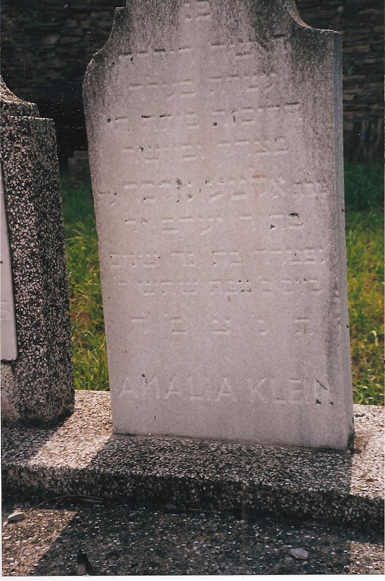 kleinmalkaamalia.jpg