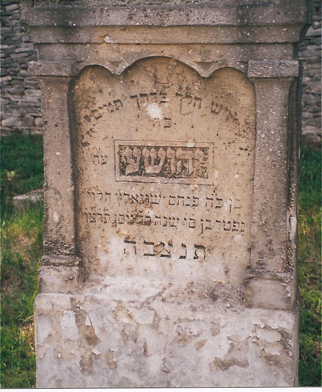 schwartzyehoshua.jpg