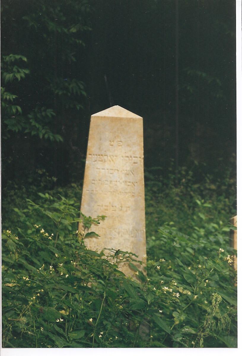 Zaltzerzvulun.jpg