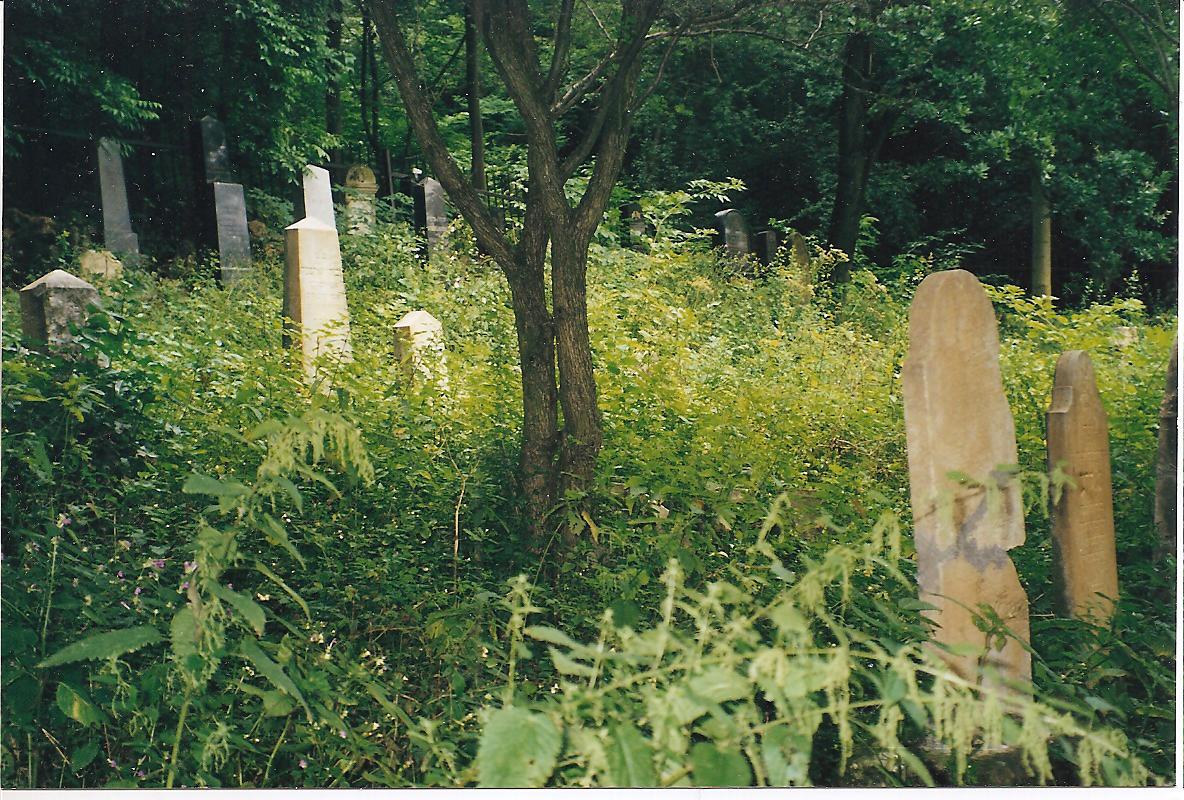 helmeczcemetery2.jpg