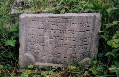 gravestone
            Jaslo