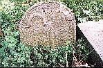 pic28