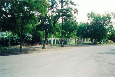 Street