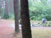 DSCF0146.JPG (480744 bytes)