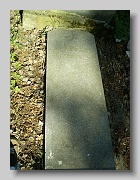 P5230254