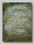 P5230676
