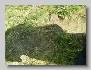 P5230699