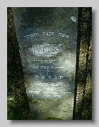 P5230828