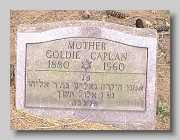 CAPLAN-Goldie