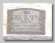 SILVERBERG-Tibie