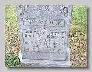 SPEVOCK-Jacob