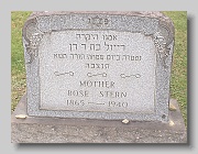 STERN-Rose