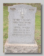 TANZER-Lottie