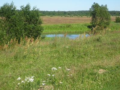 CemOverview