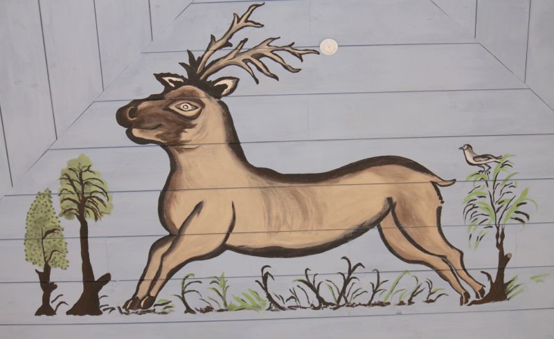 Deer