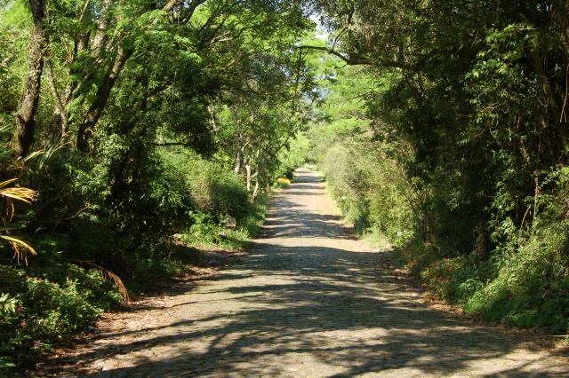foto002.jpg