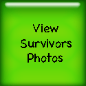View Photos