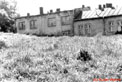 Old Cemetery