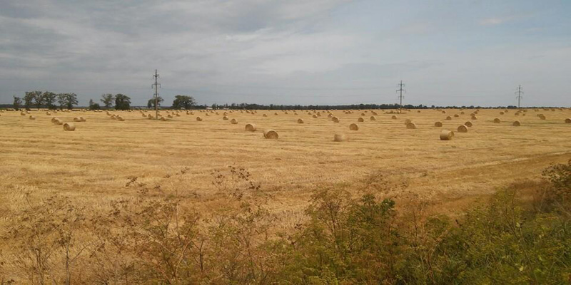 P'yatyhory field