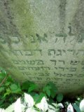 Rakhiv-tombstone-104