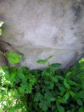 Rakhiv-tombstone-169