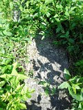 Rakhiv-tombstone-171