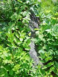 Rakhiv-tombstone-365