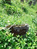 Rakhiv-tombstone-472