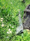 Rakhiv-tombstone-635