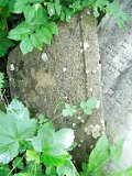 Rakhiv-tombstone-669