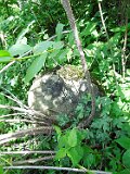 Rakhiv-tombstone-682