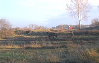 Cemetery view 01