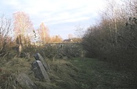Cemetery View