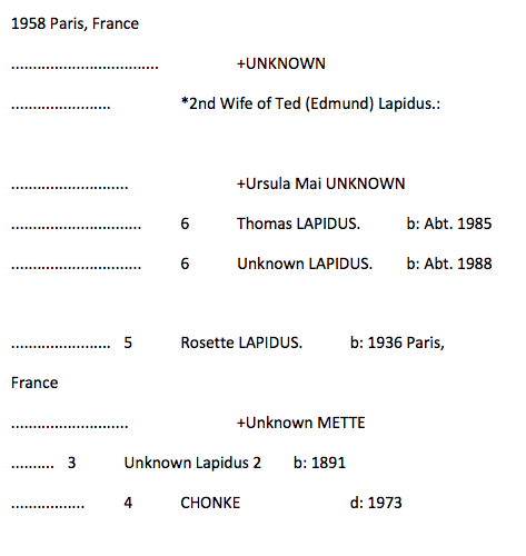 Lapidus 6