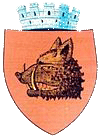 Roman's Coat of Arms