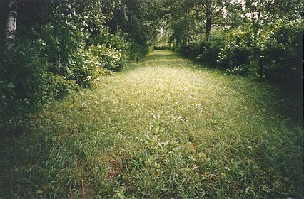 Mass grave