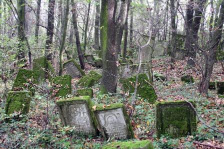 mossy stones