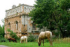 Synagogue ruins