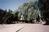 Town Center