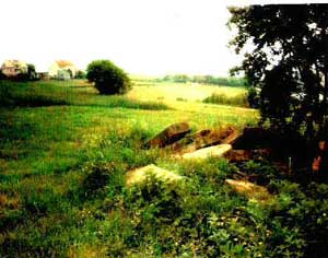 strzyzow cem