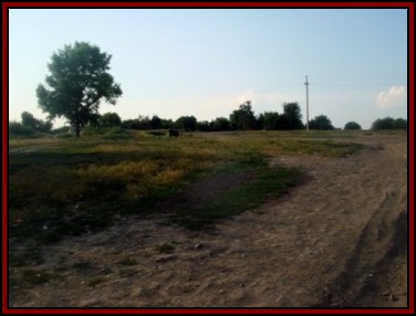 Ternivka. June 2008