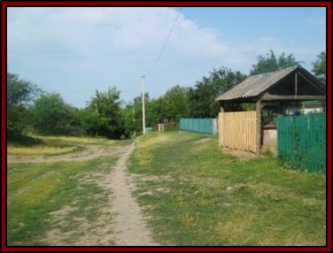 Ternivka. June 2008