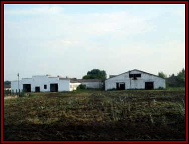 Ternivka. June 2008