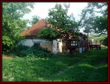 Ternivka. June 2008