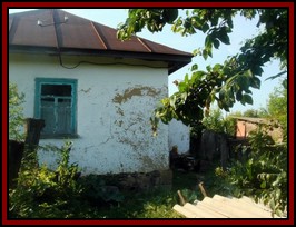 Ternivka. June 2008