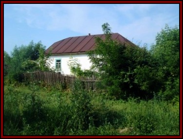 Ternivka. June 2008