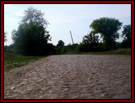 Ternivka. June 2008
