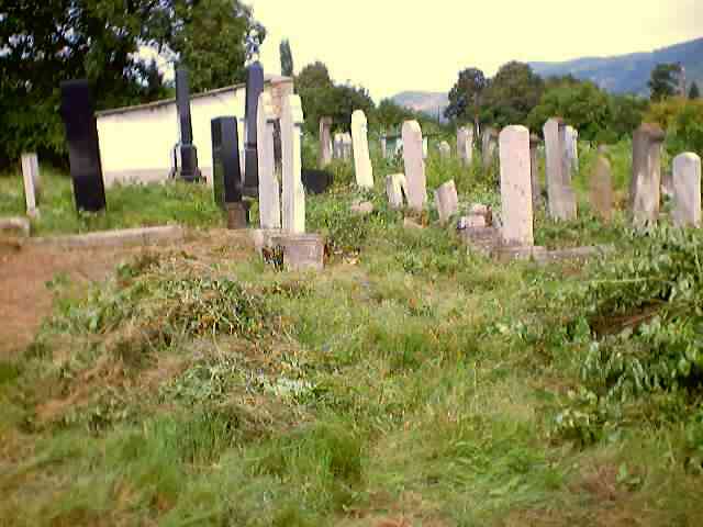 Ohel-oneside