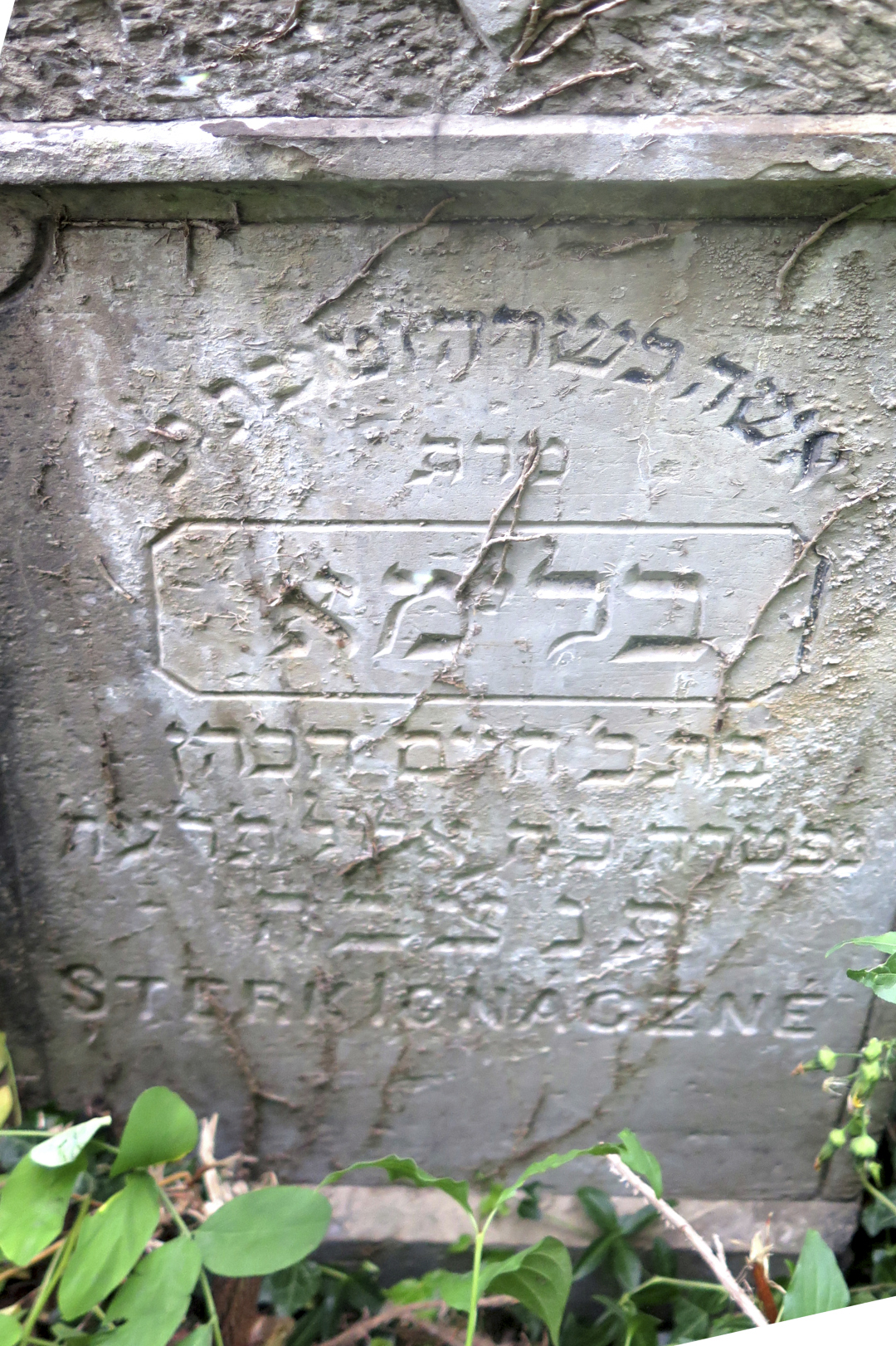 Blima's Matzeva