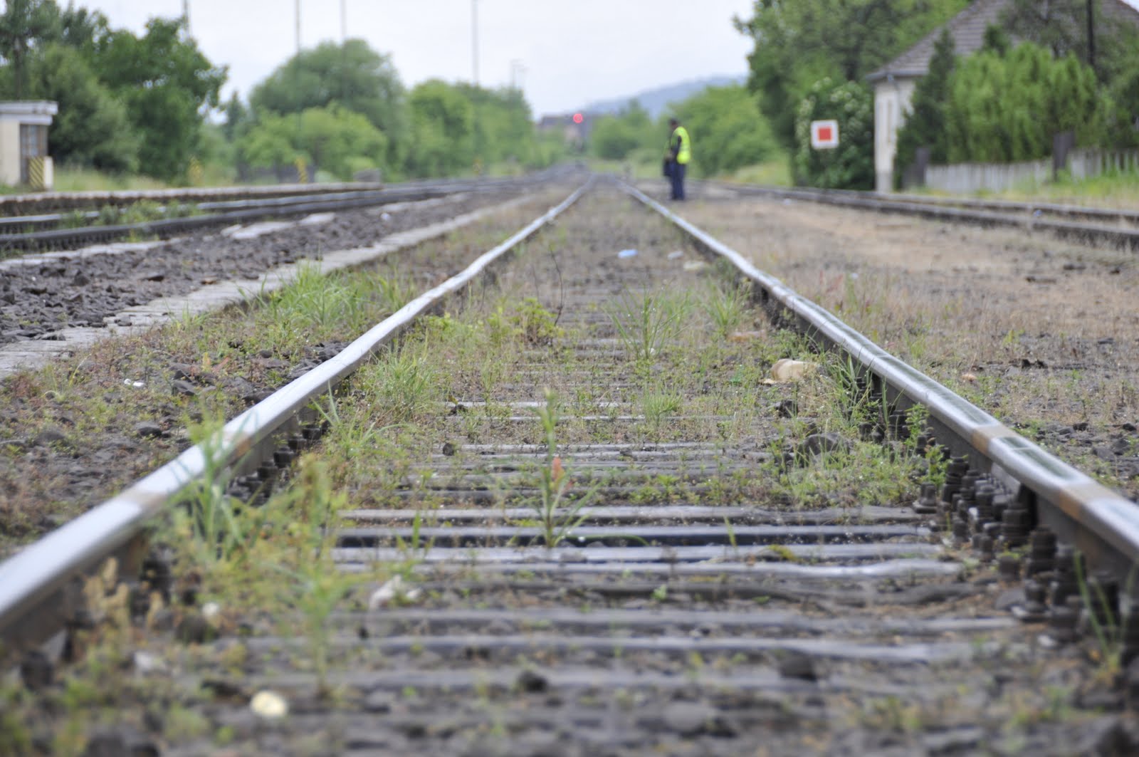 TrainTracks
